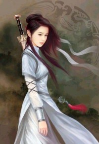 豪门风云录