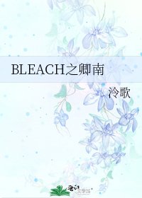 BLEACH之卿南
